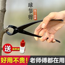 Bonsai special tools Modeling special trimming tool kit Tool set Bonsai production tools Landscape aluminum wire 2