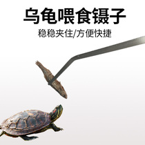 Turtle feeding clip extended feeding turtle special reptile fish tank cleaning tool long handle with teeth stainless steel tweezers