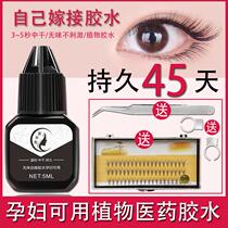 Personal grafting eyelash glue own eyes open eye vaccination fake eye eyelash glue pregnant women can use anti-allergic long-lasting