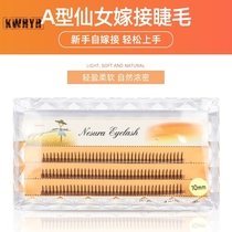 Scarecrow self-adhesive Aa type eyelashes fairy hair net red womens single cluster grafting themselves to take fairy hair sandwich false eyelashes