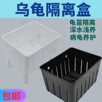 Aquarium turtle isolation box Hatching box Mini turtle tank Water turtle egg turtle fry breeding hair color isolation box