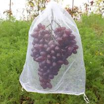Set of grape fruit set loquat insect-proof bird white gauze net bag breathable light-proof fruit fly cover insect net bag