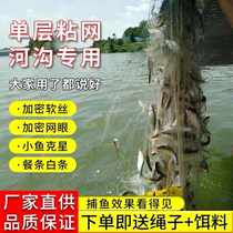 Guangtai fishing net adhesive mesh single-layer small fish net floating net sunken net white fishing net meal fish horse mouth hanging net hanging net