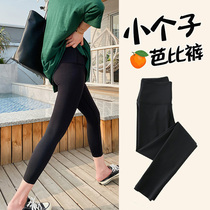 Eight small shark pants plus velvet leggings women Spring and Autumn wear belly lift hip Barbie yoga high waist nine points
