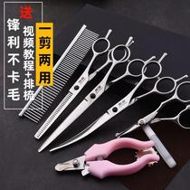 Pet scissors Professional trimming scissors Curved dog teddy supplies artifact Cat shaving set Pet grooming scissors