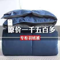 Genuine premium duvet 95 white goose down thickened warm winter quilt Spring and Autumn duvet core single double quilt