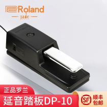 Roland Roland Orland electronic piano continuation pedal DP-10 DP10 keyboard instrument drum universal pedal accessories