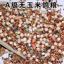 Dove grain great full young pigeon dove grain nutrient dove grain 50 catty 20 catty 20 catty of ornamental pigeon nutrient pigeon food feed 5 kilos