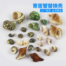 Hermit crab roll shellfish special replacement shell natural conch shell fish tank landscaping aquarium aquarium decoration manufacturers direct sales