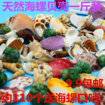 Conch shell coral package Fish tank floor Wedding Mediterranean shooting props decoration sea snail