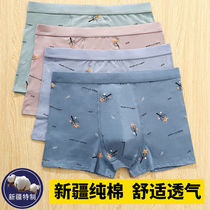 Pure cotton briefs male 100 cotton cotton quality fabric 100% cotton printed mens underwear pure cotton flat corner Youth trending