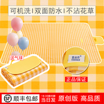Floor mat outdoor outing spring outing beach mat sand-proof moisture-proof mat picnic cloth mat waterproof portable net red lawn mat