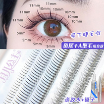 Moon Princess fishtail a type hair under the eyelash combination false eyelash fairy hair single cluster natural simulation grafting