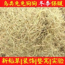 Straw broken straw mat winter pet bird dog rabbit warm natural Valley grass foot pad decorative grain grass props