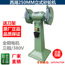 250mm heavy industrial grade desktop vertical grinder household small 220V polishing electric sand wheel sharpener
