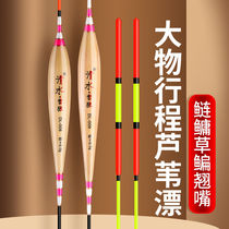 Chen-year reed fish drift high and sensitive light carp drift with rough and striking big things adrift to resist walking water reeds float