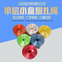 pet single-layer polyester strapping rope packing rope vegetable tie plastic binding rope nylon tear film Rope