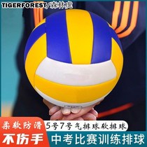 Test volleyball No 5 PU volleyball PU soft leather does not hurt hand volleyball Student exam volleyball competition Volleyball