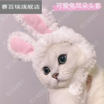 Net Red pet cat rabbit ear headgear warm hat cute funny photo headgear