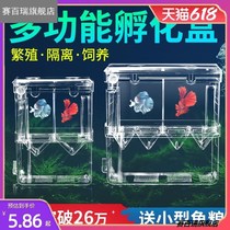 Peacock special fish tank small fish escape house isolation box in juvenile fish isolation fine mesh breeding box turtle incubator box