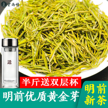 Golden Bud Tea 2021 New Tea Super Anji Mingqian White Tea Alpine Green Tea 250g Bulk Canned