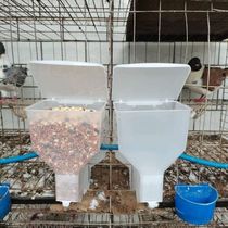 Pigeon automatic feeding trough chute supplies Food box Breeding pigeon cage utensils Automatic feeder Breeding pigeon feeder