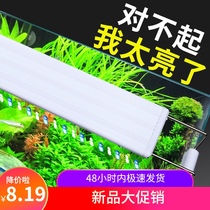 Fish tank light LED light aquarium energy-saving lighting waterproof light grass tank diving small clip light bright water straw light