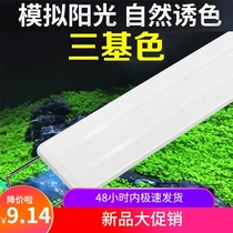 Fish cylinder lamp color color lamp bracket lamp water straw lamp lighting lamp small holding lamp brightening led full spectrum fish culture lamp