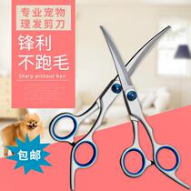 Pet Scissors Beauty Tool Suit Professional Hair Cut Dog Hair Bend Sheen Dog Teddy Haircut Hair Hairdresser