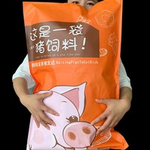 Snack gift package combination Net red pig feed a whole box of delicious food to send male girlfriend children birthday snacks Leisure