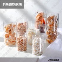 Glass transparent vase natural shell conch simple hipster living room home decorations ornaments