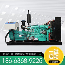 Weifang 300 KW diesel generating set brushless full copper mobile entertainment venue three-phase 380V AC