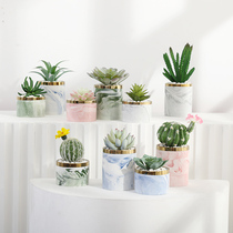 Nordic ins simulation plant fleshy small potted cactus green plant decoration living room desktop fake flower bonsai decoration