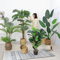Large Nordic simulation plant Landing traveler banana Bird of paradise Bonsai Green plant Indoor potted decoration net red fake tree