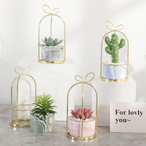 ins Nordic fleshy simulation plant cactus potted indoor living room green plant decoration fake flower desktop small ornaments