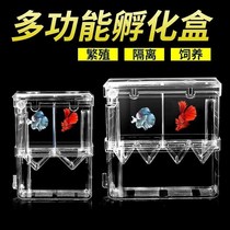  Fish tank isolation box Guppy incubation box Tropical fish juvenile breeding box King size large small breeding box