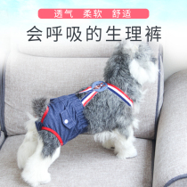 Dog and cat strap menstrual pants denim diapers Teddy puppies pet clothes small bitch female cat raw pants