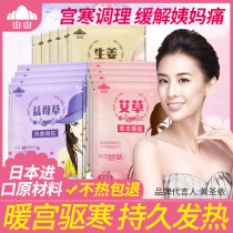 Mountain Mountain warm up womens self-heating baby sticker Winter hot post Warm Up palace chill conditioning motherwort hot compress Palace Warm Ai Grass