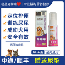Pet inducer dog pee dog fixed-point defecation toilet puppy pee pee poo teddy puppy cat