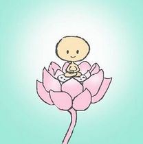 The Ruyi card CD Link No kind Do not film on your own