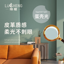 Eggshell light art paint latex paint interior wall art paint indoor household environmental protection self-brushing background water-based wall paint
