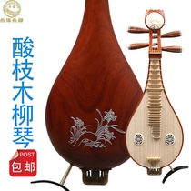 Lehai Ao-style sandalwood copper fine-tuning professional examination performance willow leaf Qin Earth pipa sour branch Willow piano musical instrument