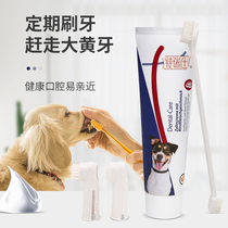 Terrez dog toothbrush pet toothpaste set for brushing teeth Teddy dehalitosis cat supplies