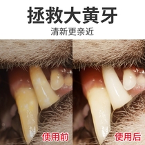 Dog toothbrush toothpaste set Teddy special cat golden retriever halitosis artifact finger set pet supplies edible