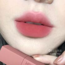 Pure desire for the ceiling small mood autumn and winter Rose velvet lip glaze long-lasting non-fading students.