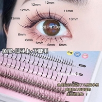 Fish tail a type fairy hair under the eyelashes single tuft root fairy false eyelashes supernatural simulation grafting sticky C