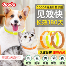 Kitty insect repellent collar deluds to anti-lice supplies in vitro dog collar neck laps small dogs except flea cat circle pets