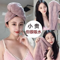 Dry hair cap super absorbent quick-drying thickening 2021 new female cute bag hair towel dry hair cap wipe hair artifact