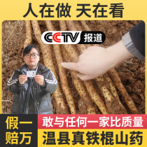 Authentic Henan Jiaozuo Wenxian Baotu iron stick iron Huai Shan Huai Yam fresh 5 pounds of premium whole box quasi-iron Gui