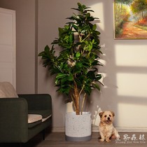  High-end simulation green plant rubber banyan tree indoor living room window fake tree floor green plant potted plant decoration ornaments